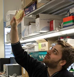 A man is seen holding up a petri dish in a lab environment, with someone else working in the background.