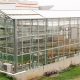 Greenhouse Laboratory